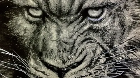 欧冠：加拉塔萨雷3-3曼联 奥纳纳失误频出 红魔晋级希望岌岌可危