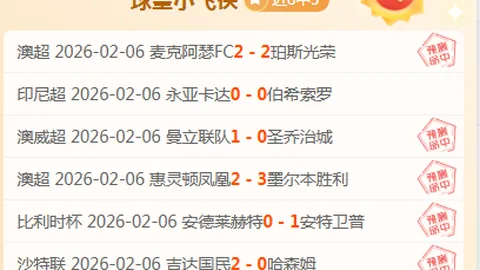 “圣诞夜篮球盛宴：掘金与森林狼巅峰对决，揭秘战局密码！”